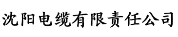 精品国产免费久久久久久婷婷电缆厂logo